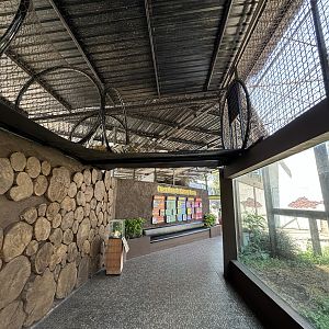 Tiger Land Overhead Walkways