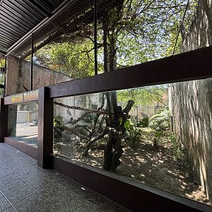 Clouded Leopard Exhibit