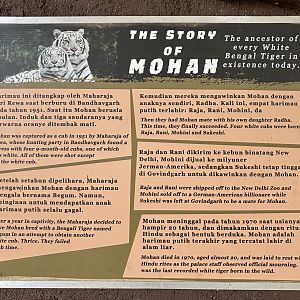 Tiger Exhibit Sign