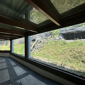 Snow Leopard Exhibit