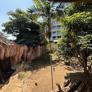 Sun Bear + Small-clawed Otter Exhibit