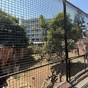 Sun Bear + Small-clawed Otter Exhibit