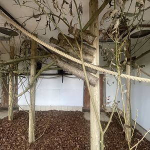 Refurbished Primate Exhibit