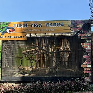 Prevost’s Squirrel Exhibit