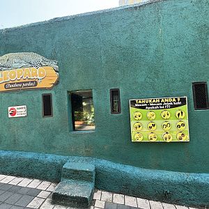 Javan Leopard Exhibit