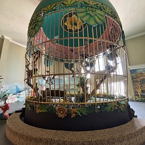 Museum - Entrance Taxidermy Aviary