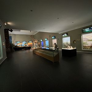 Museum