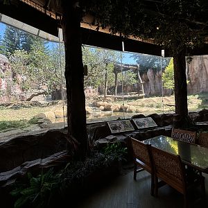 Zoo Restaurant - Sun Bear/Small-clawed Otter Exhibit