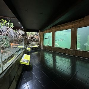 Reptile House/Aquarium