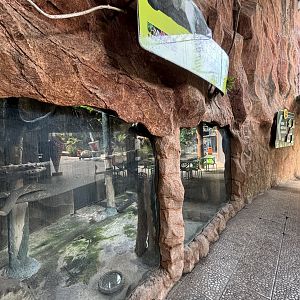 Binturong Exhibit #4