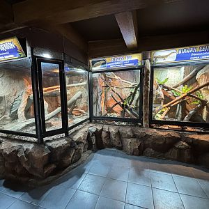 Reptile Terrariums