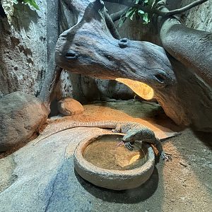 Quince Monitor Exhibit