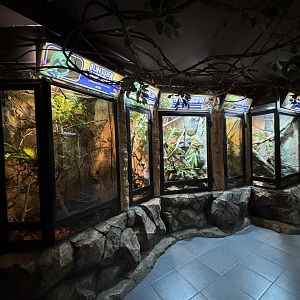 Reptile Terrariums