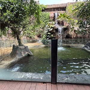 False Gharial Exhibit