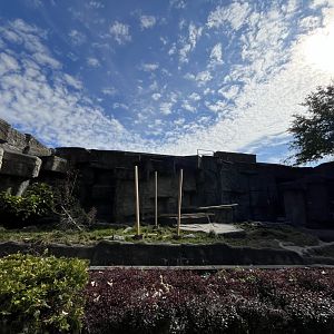 New Habitat Construction