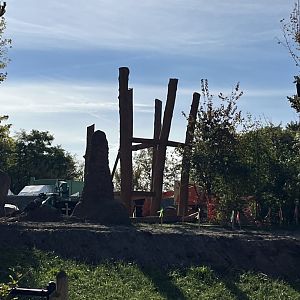 Gorilla habitat Construction