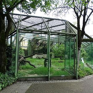 Affenhaus: Chimpansee enclosure