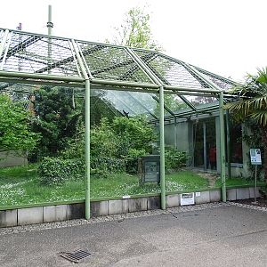 Affenhaus: Chimpansee enclosure