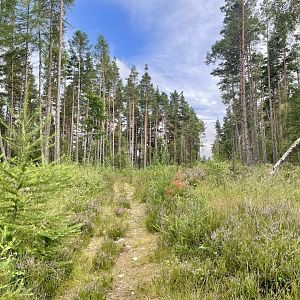 RSPB Corrimony Nature Reserve
