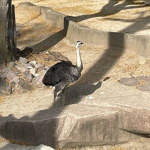 10/11/2024 - Greater Rhea