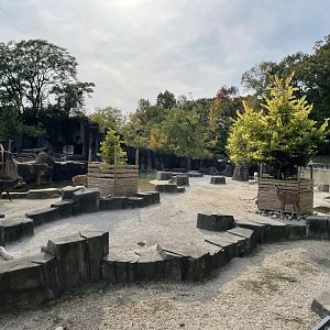 10/11/2024 - African Watering Hole Enclosure