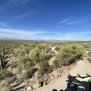 6/5/2024 - Desert Loop Trail overlook