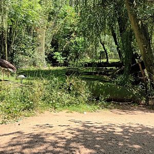 Inside of the Freeflight Aviary