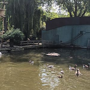 Waterfowl Pond and Gibbon Island