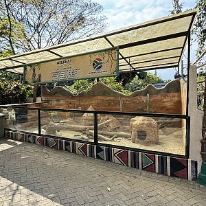 Meerkat Exhibit