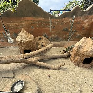 Meerkat Exhibit