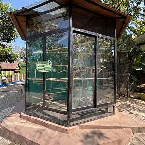 Black-tufted Marmoset Exhibit