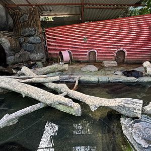 Nutria Exhibit