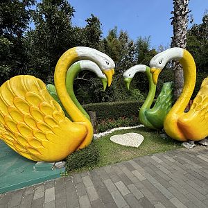 Giant Swan Statues