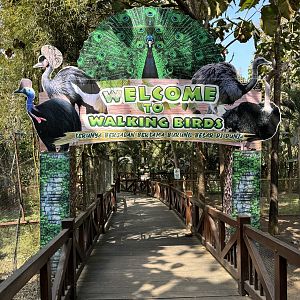 Walking Birds Zone