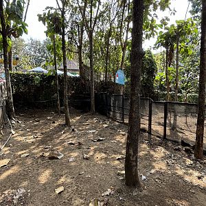 Cassowary Exhibit #1