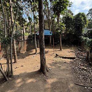 Cassowary Exhibit #2