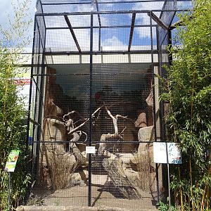 Affenhaus: Scarlet macaw and black-headed parrot  aviary