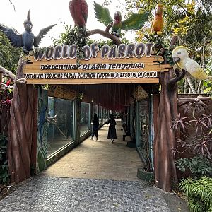 World of Parrot - long hallway