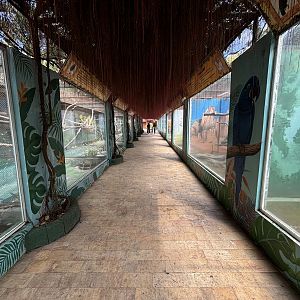 World of Parrot - almost 20 aviaries