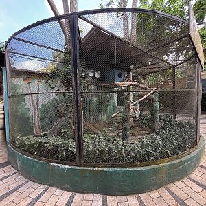 Military Macaw Aviary