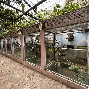 7 Amazon Parrot Aviaries