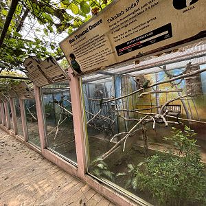 Row of Conure Aviaries