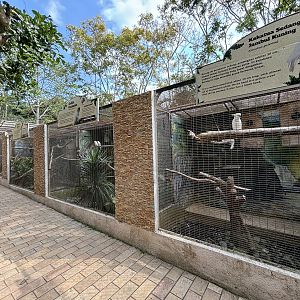 Row of Cockatoo Aviaries