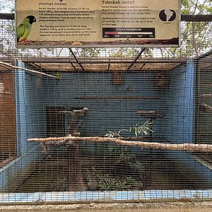 Nanday Conure Aviary