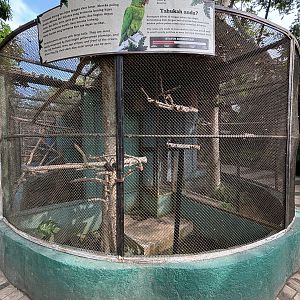 Red-fronted Conure Aviary