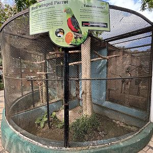 Red-winged Parrot Aviary
