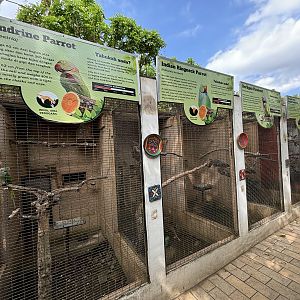 Row of Parrot + Parakeet Aviaries