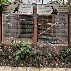 Illiger Macaw + Red-bellied Parrot Aviaries