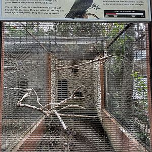 Jardine Parrot Aviary