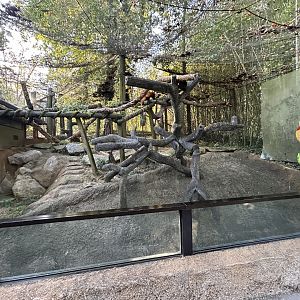 Red Panda Exhibit #1 - Red Panda Village